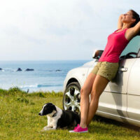 A Quick Guide to Traveling with Pets