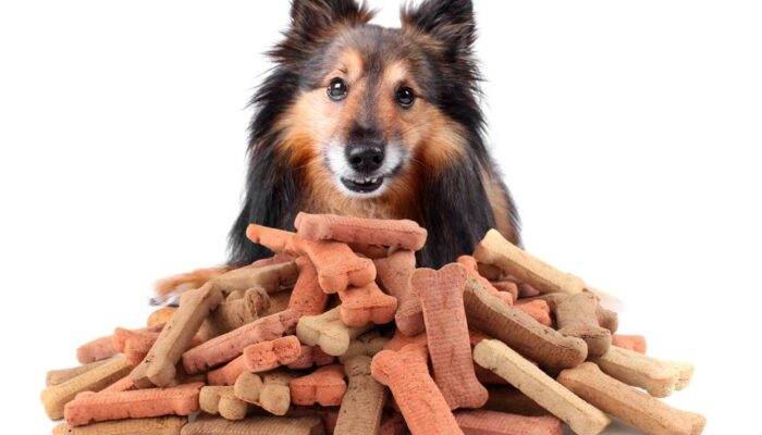 Top Healthy Ingredients to Add to a Dog’s Food