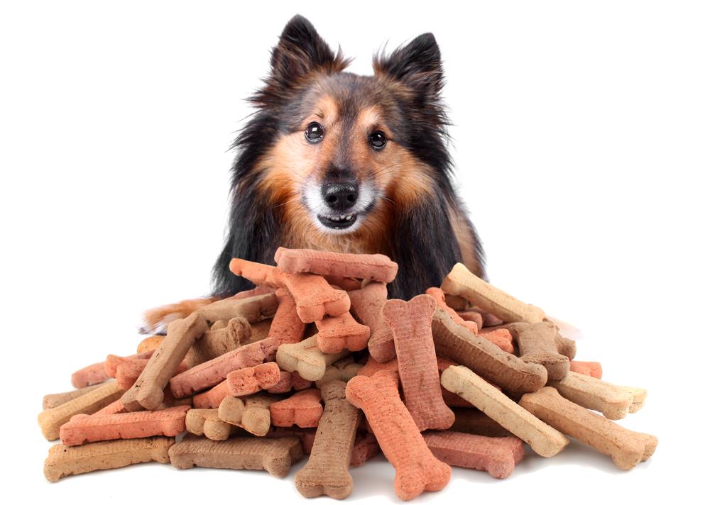 Top Healthy Ingredients to Add to a Dog&#8217;s Food